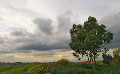 Clouds in the County