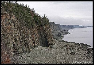 Fundy Coastline