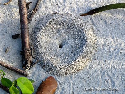 A house build in the sand...