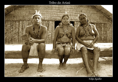 Tribo do Ariaú