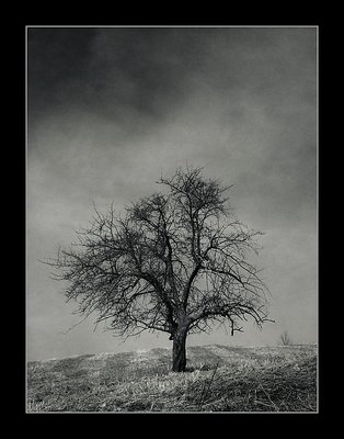 Alone