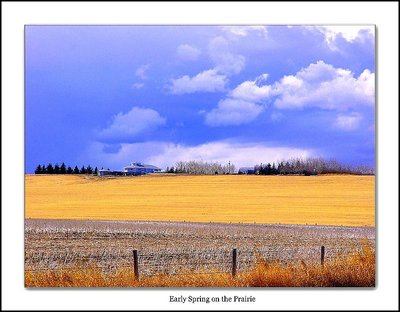 Early Spring on the Prairie