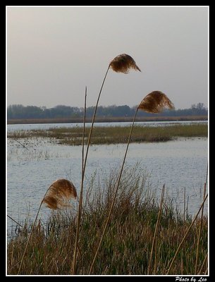 Kopacki rit - Nature Park