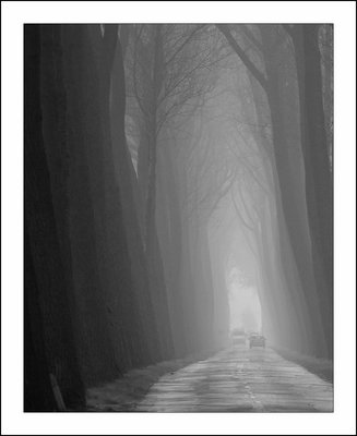 Misty road