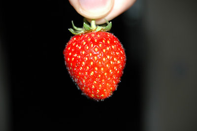 strawberry