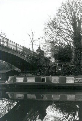 the bridge over tranquil waters