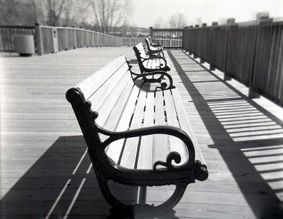 Holga Benches