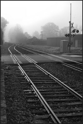 Fog on Tracks