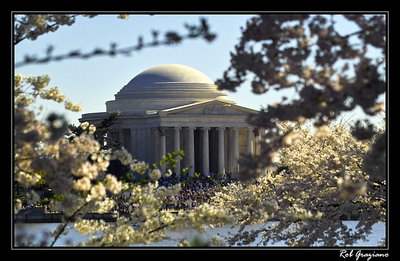 Jefferson Memorial Spring