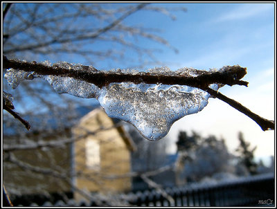 Frozen Drop