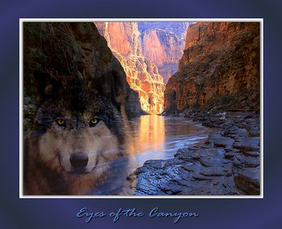 Eyes of the Canyon