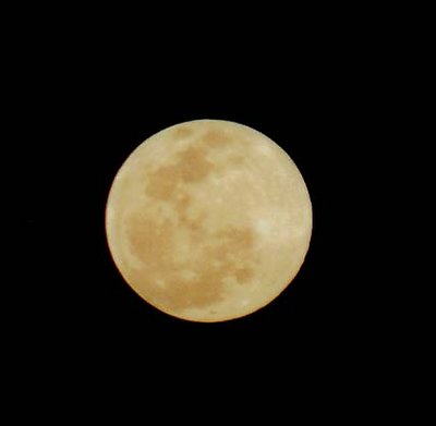 Full Moon #4