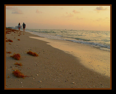 Walk on the beach, my love