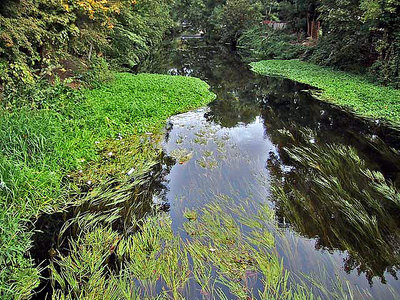 Spring of nature