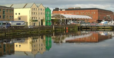 Reflections of Cork I