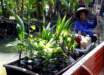 Floating Market V