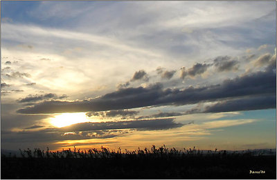 La Albufera sunset