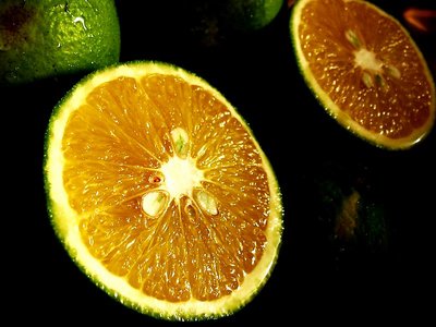 Vitamina C