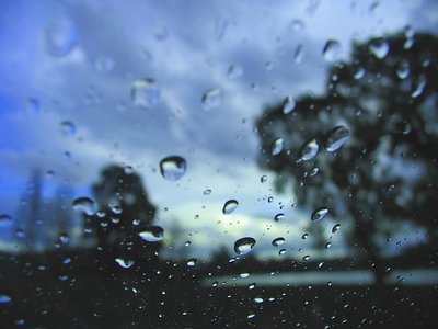 Rain on my windshield
