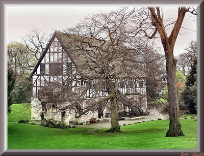 Tree House