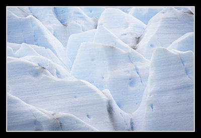 Scalloped Face of Grey Glacier