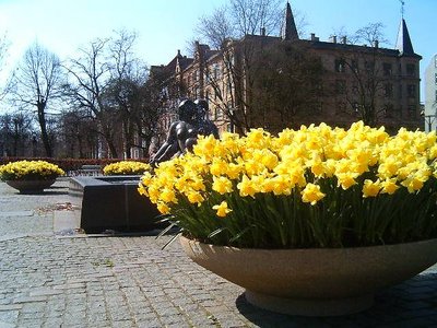 Spring time in Copenhgen.