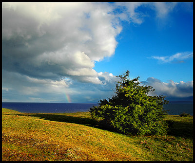 Rainbows and Sun