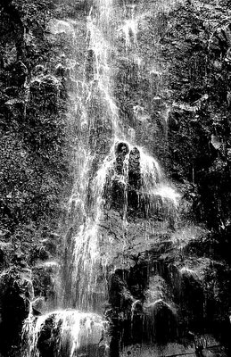 Watermark