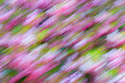 Spring's A Blur