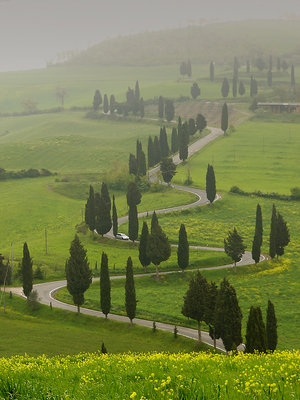 Tra la nebbia.......