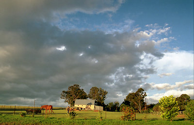 Afternoon clouds