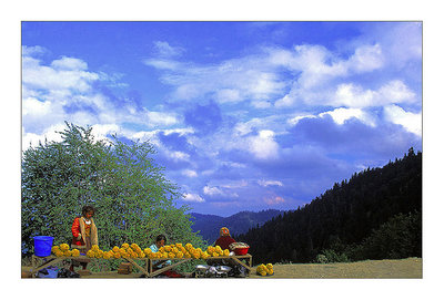 Flower sellers