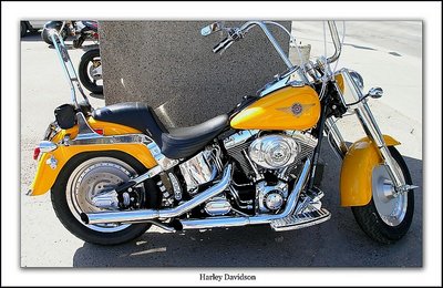 Harley Davidson