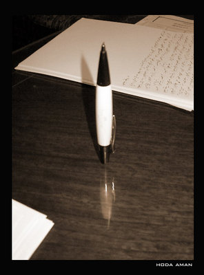 writting my diary