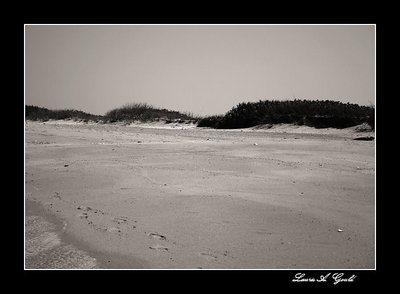 Dunes in black and white