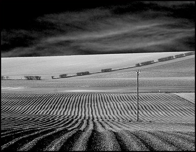  ploughed field