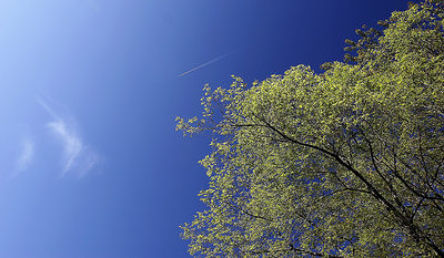 To Fly