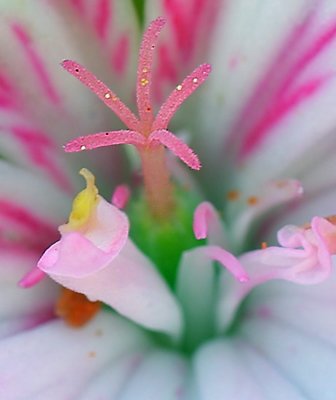 A Bug's Eye View