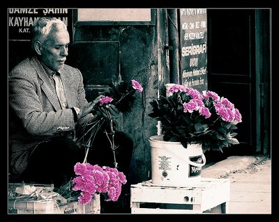 Vivid dreams of the flower seller