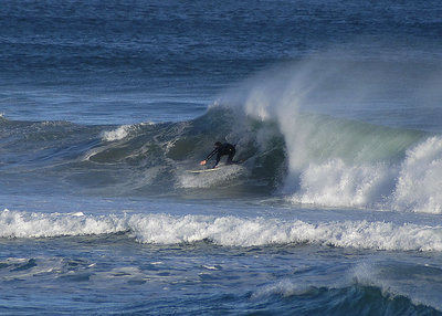 Seal Bay rider