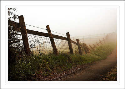 Fences in the mist