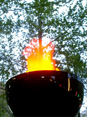 Fire in a "forest-pot"