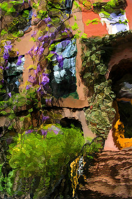 New York Wisteria