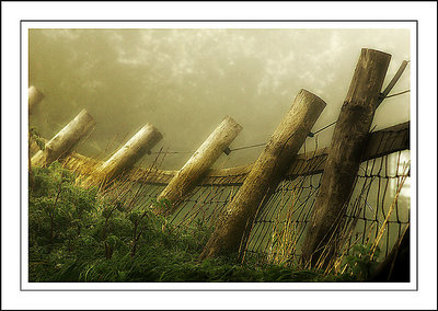 "Let's mist again…