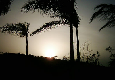 Windy Day