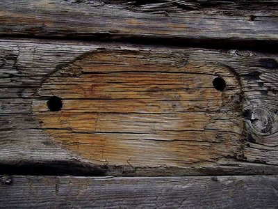 wood