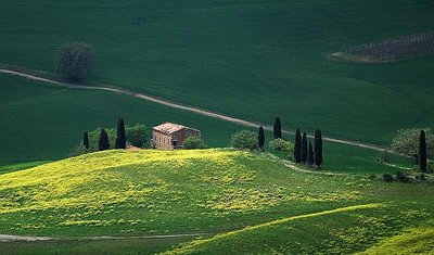 nothing original.....tuscany landscape