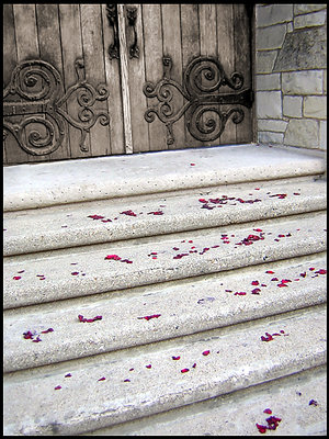 petals on stairs 2