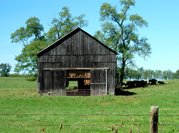 Georgetown Barn