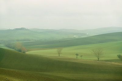 Dreaming in Tuscany
